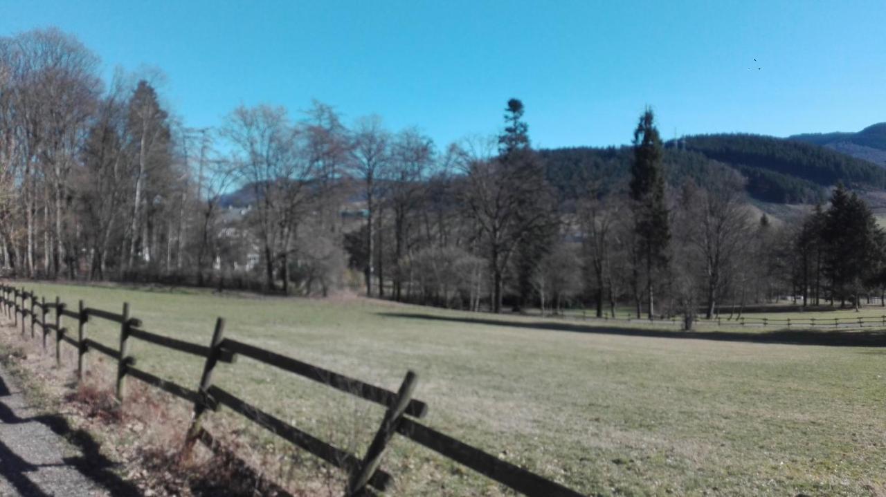 Landhotel Am Schloss NeuNeuandreasberg Buitenkant foto